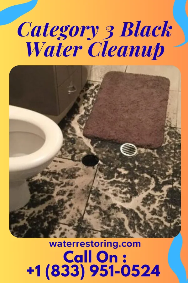 Category 3 Black Water Cleanup in Akron, IA