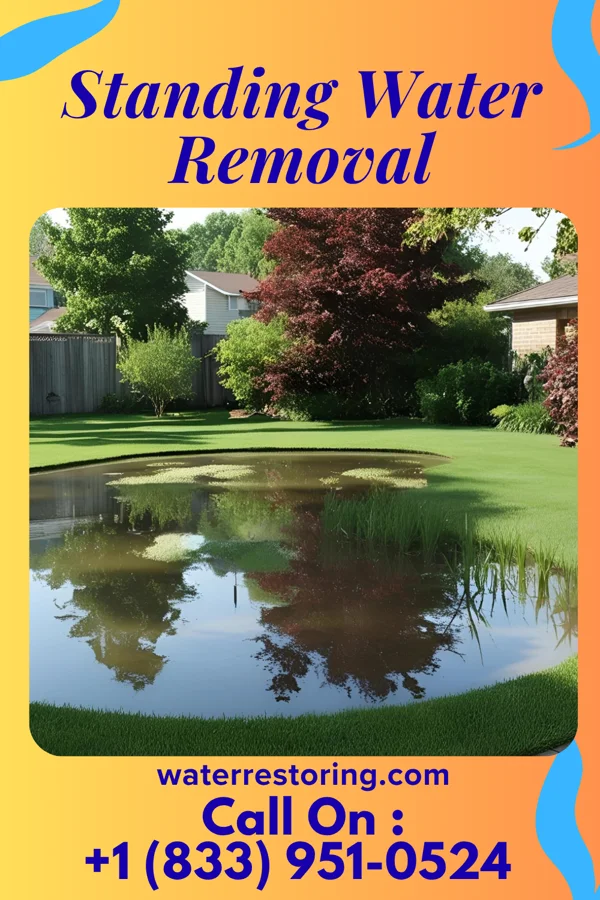 Standing Water Removal in Akron, IA